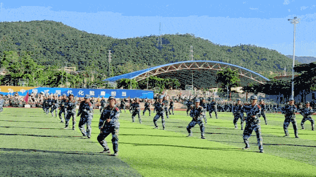 茶，從不爭，不理，不解釋